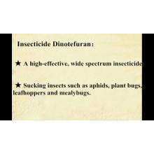 Mejor precio del insecticida Dinotefuran 20% WP 20% SG 20% WDG
